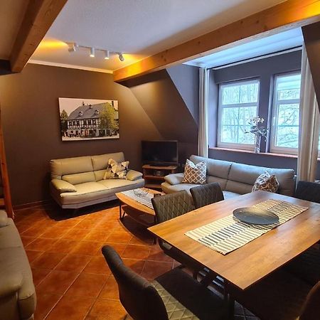 Appartements Im "Landhaus Am Frohnauer Hammer" Annaberg-Buchholz Eksteriør billede