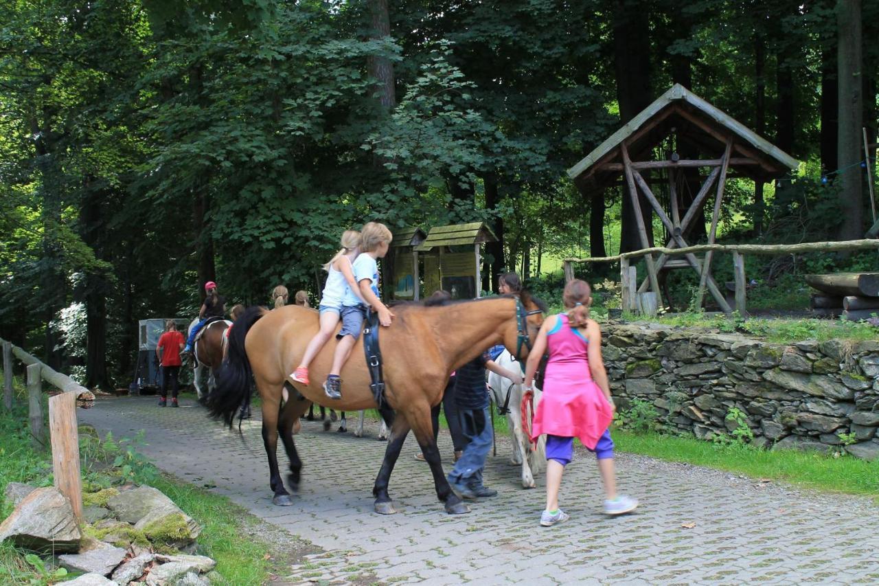 Appartements Im "Landhaus Am Frohnauer Hammer" Annaberg-Buchholz Eksteriør billede