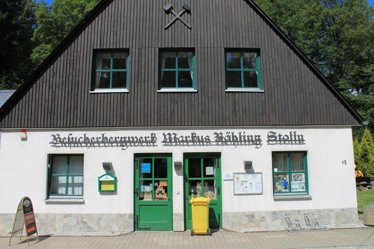 Appartements Im "Landhaus Am Frohnauer Hammer" Annaberg-Buchholz Eksteriør billede